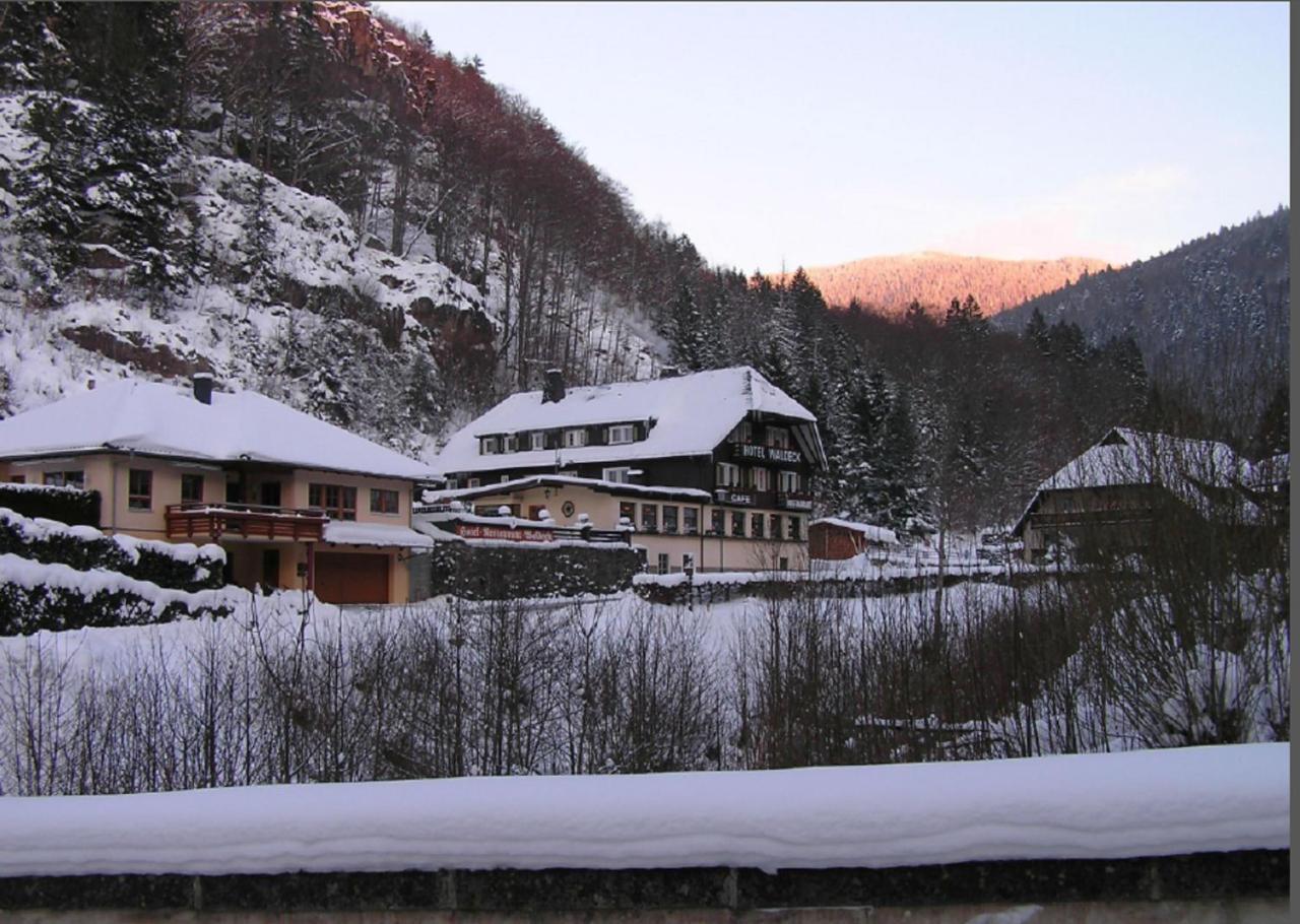 Hotel Waldeck In Тодтнау Екстериор снимка